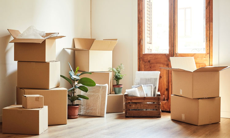 senior moving survey